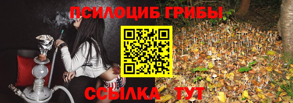 Галлюциногенные грибы Magic Shrooms Кумертау