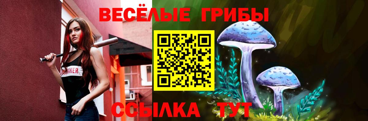 Псилоцибиновые грибы MAGIC MUSHROOMS  Вход с VPN  Псилоцибиновые грибы MAGIC MUSHROOMS  Кумертау 